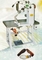 Insole Stitch Sewing Machine FX-996 supplier